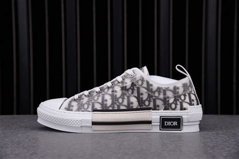 Dior low top oblique